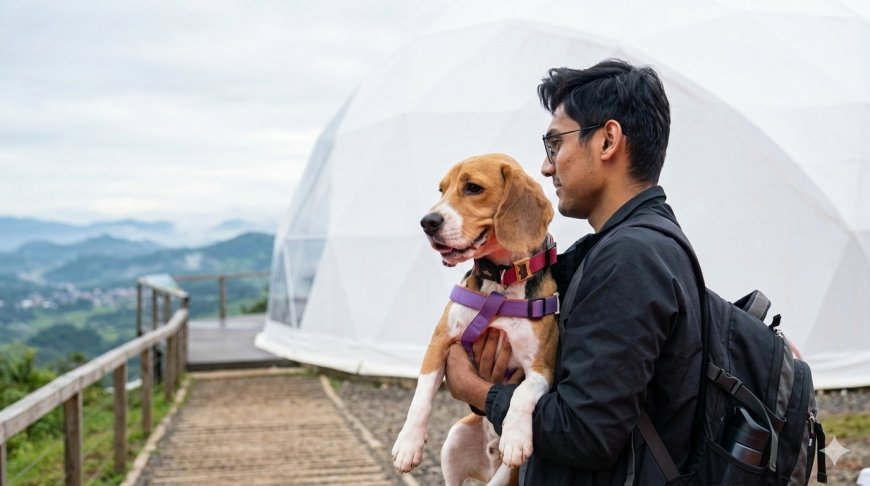 Royal Canin's New Film Is Rewriting Pet Nutrition Marketing