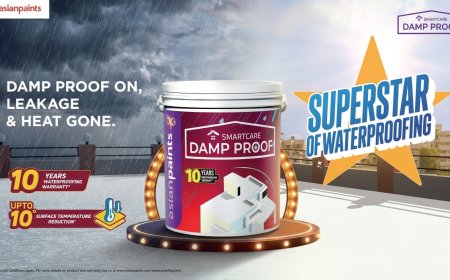 Asian Paints Makes Waterproofing a Cultural Moment With Its South India 'Superstar' Campaign