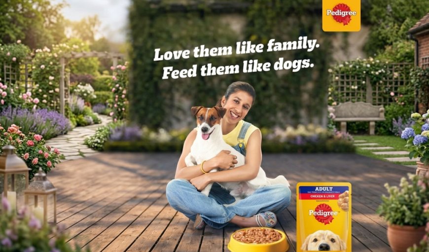 PEDIGREE Taps Jemimah Rodrigues to Redefine How India Feeds Its Dogs